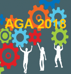 Rapport final – AGA de Représentation équitable au Canada