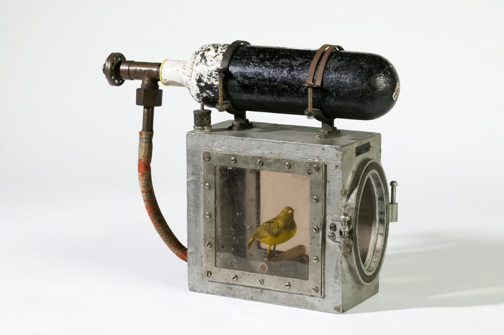 cage to revive canary in the coal mine Science and Industry museum photo